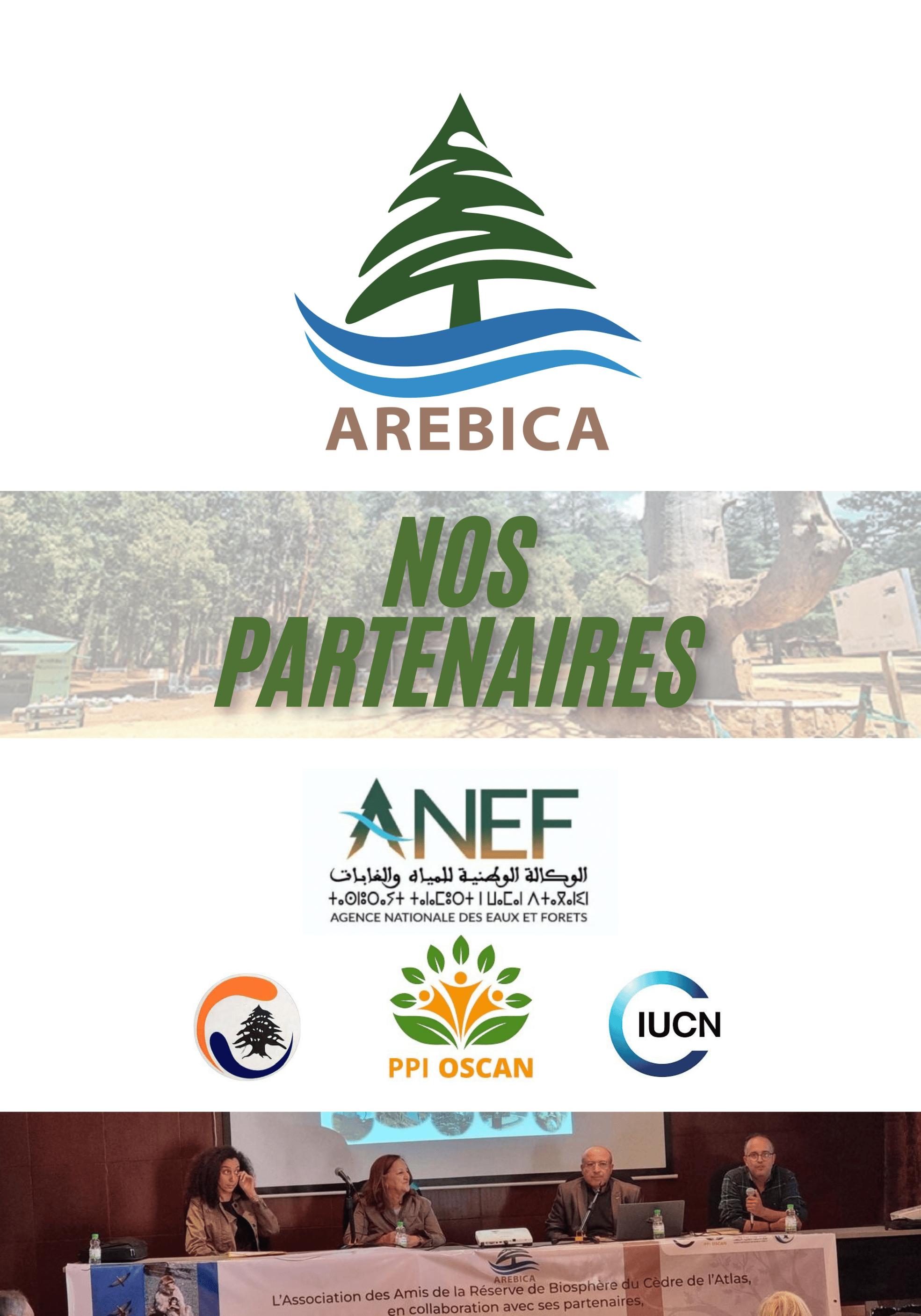 Image RBCA