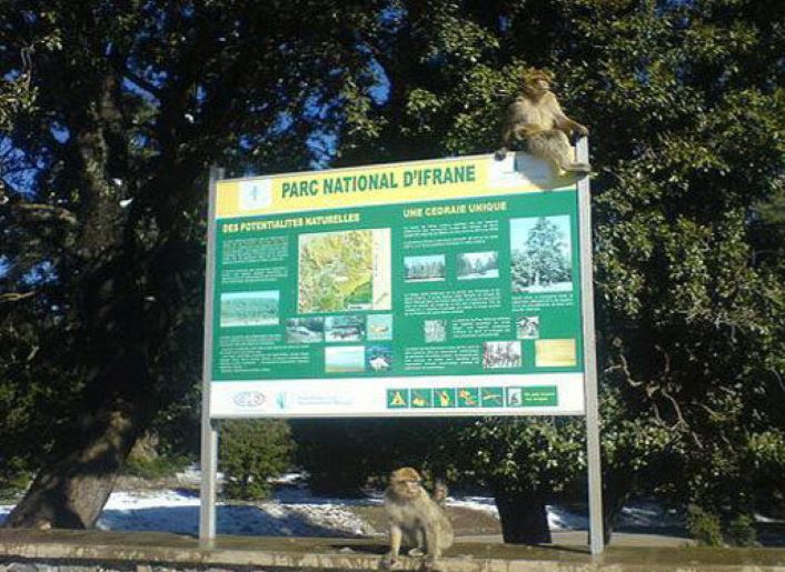 Conservation