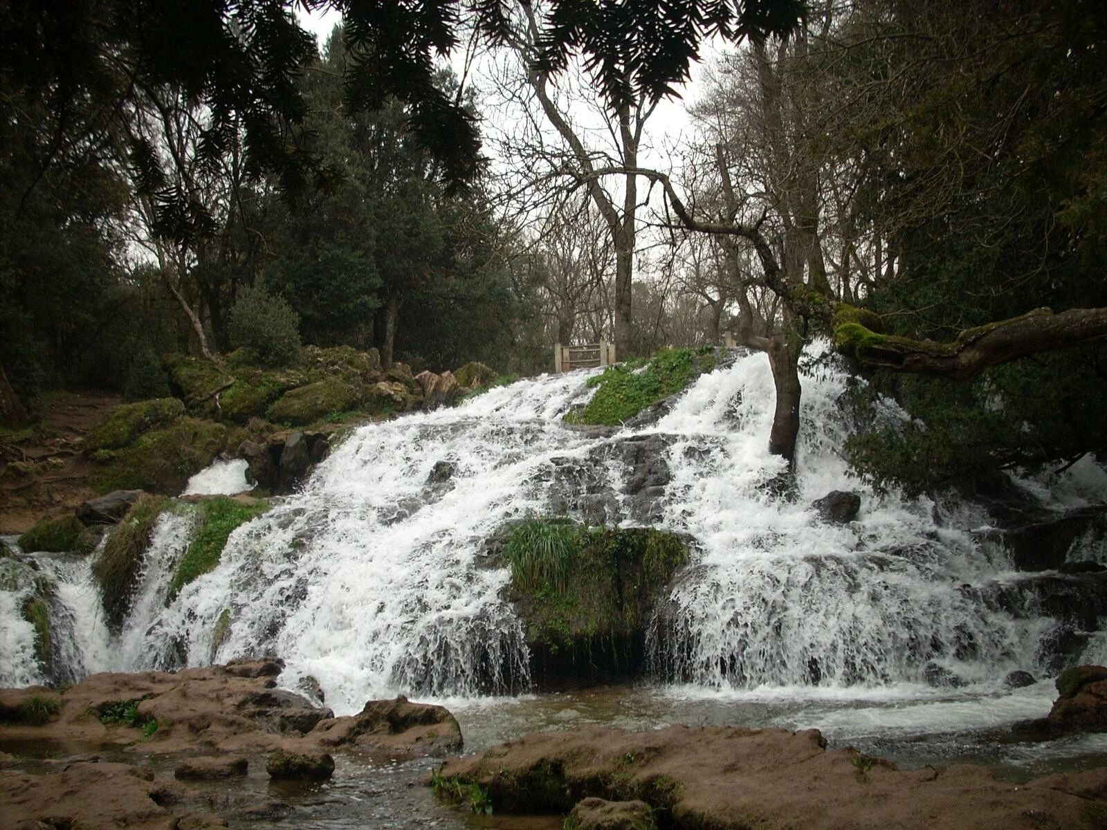 Vue de la RBCA
