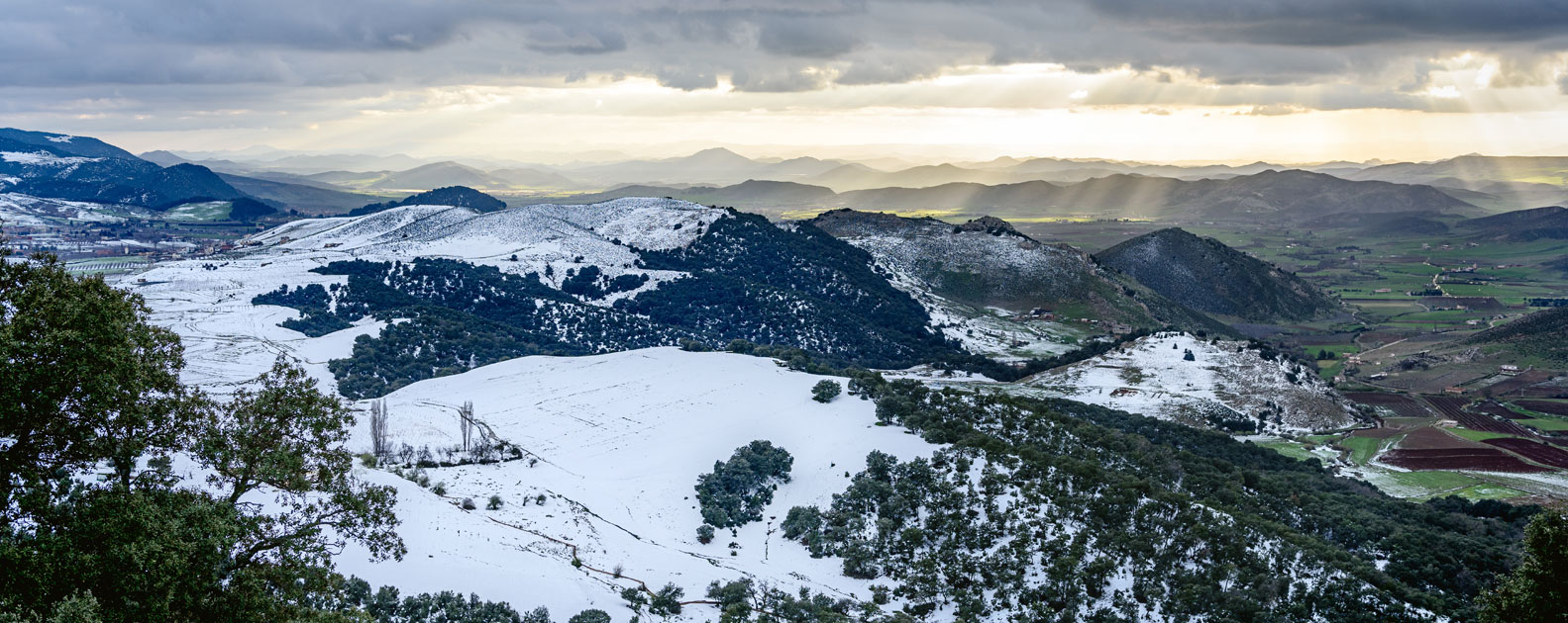 Les incontournables de la région d’Ifrane et Azrou : Nature, Aventure et Artisans